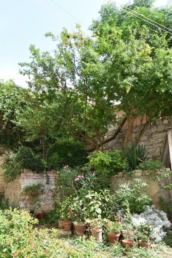 Studio Apartment Lumen Pula Exterior foto